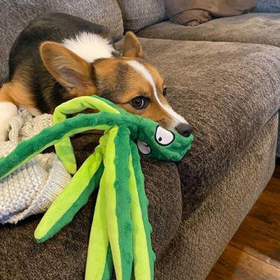 Anti Stress Octopus Chew Toy for Dogs